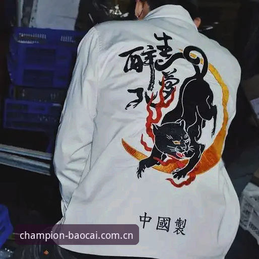 冠军白菜可靠吗必备？CHAMPION竞技平台完整评估与使用指南
